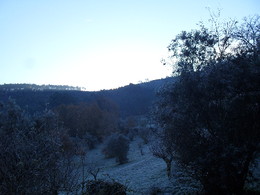 Pauzinho e Lierac 012.JPG