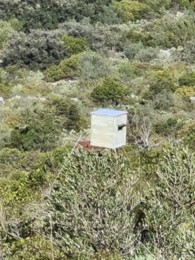 20201230_111301.jpg 20201230_111301.jpg