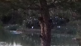 20201031_173952.jpg
