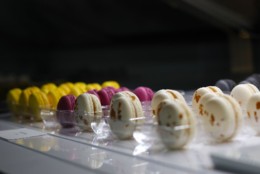 Montra da Marupiu Montra da Marupiu