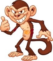 monkey.jpg