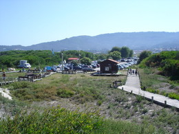 500x500.jpg 500x500.jpg