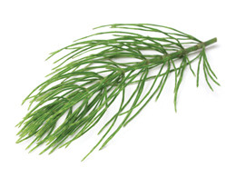 ty6reg10feGXSH8Y5gQeDwlY_