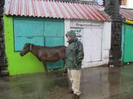 Tamil Nadu, NOV15.JPG