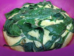 IMG_1492.JPG IMG_1492.JPG