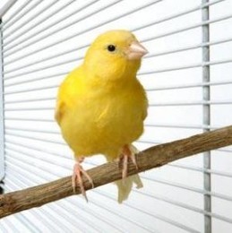 C:\Documents and Settings\Admin\Ambiente de trabal