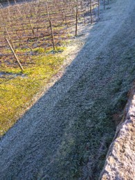 IMG_20210117_103219_BEAUTY.jpg IMG_20210117_103219_BEAUTY.jpg