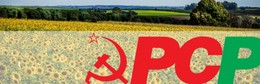 010220172337-61-PCPBANNER.jpg