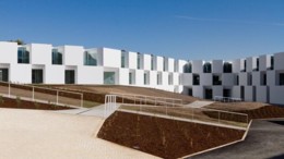 202005291217453498 demência.jpg