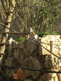 Photo 20-12-15, 12 33 59.jpg Photo 20-12-15, 12 33 59.jpg