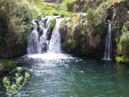 Castanheira água.jpg