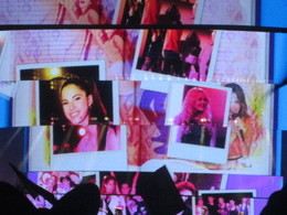 IMG_1265.JPG IMG_1265.JPG