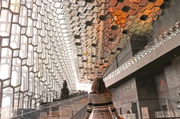 Harpa, Reiquiavique