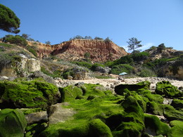 DSC08873.JPG DSC08873.JPG