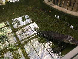 Photo 20-12-15, 13 09 58.jpg Photo 20-12-15, 13 09 58.jpg