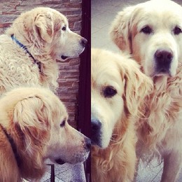 12347728_1557955624517840_3891561269337997978_n.jp