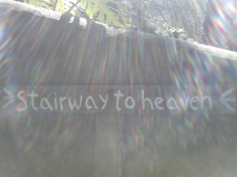 Coolares Market Coolares Market