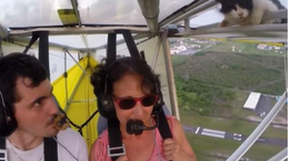 jihihn.png jihihn.png