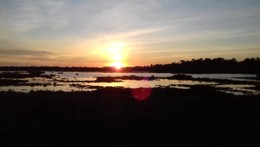 20201031_173012.jpg