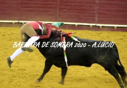 manuel pires  lisboa.JPG