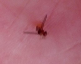 IMG_20190804_124119.jpg IMG_20190804_124119.jpg