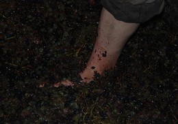 DSC_0078r.JPG DSC_0078r.JPG