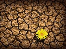 3º Domingo do Advento - B - 13 de dezembro.jpg