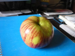 Maçã P1040717.JPG