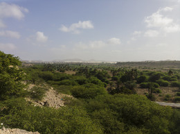 IMG_20141105_091609.jpg IMG_20141105_091609.jpg