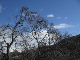 neve serra 2016 001.JPG