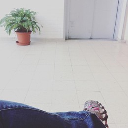 12728999_1585134221799980_8793617191760395395_n.jp