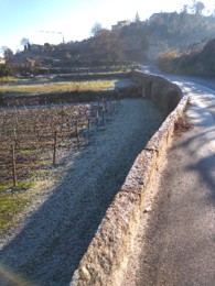 IMG_20210117_103222_BEAUTY.jpg IMG_20210117_103222_BEAUTY.jpg