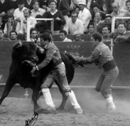 Armando Raimundo e Carlos Conceição.png Armando Raimundo e Carlos Conceição.png