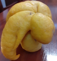 20210319_115207.jpg 20210319_115207.jpg