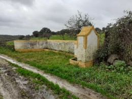 Fonte em Fevereiro. Foto Original. 2021.02.01.jpg