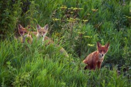 485628580_9386750718079410_5692118487575316189_n.j