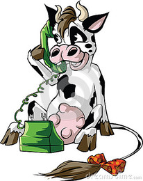 vaca-em-um-telefone-celular-43681966.jpg