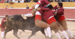 Grupo de Montemor-Pega Francisco Borges-16.06.2019