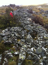 fotografia 83 (1).JPG