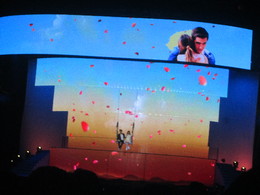 IMG_1237.JPG IMG_1237.JPG