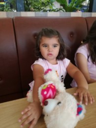 IMG_20181005_132054.jpg IMG_20181005_132054.jpg