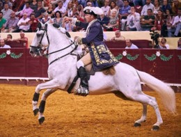 António Ribeiro Telles.jpg