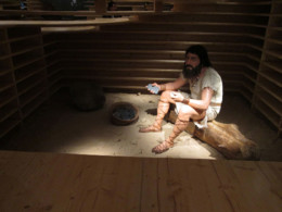 IMG_8911.jpg IMG_8911.jpg