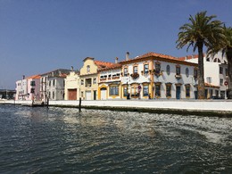 IMG_1097.JPG IMG_1097.JPG