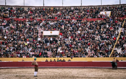 público praça santarem..webp