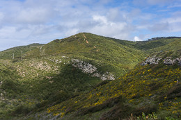 _DSC6620.jpg _DSC6620.jpg