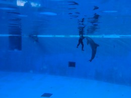 Photo 20-12-15, 15 29 18.jpg Photo 20-12-15, 15 29 18.jpg