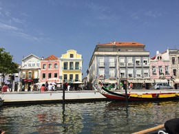 IMG_1108.JPG IMG_1108.JPG