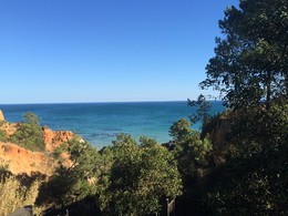 IMG_3039.JPG IMG_3039.JPG