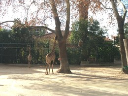 Photo 20-12-15, 12 33 14.jpg Photo 20-12-15, 12 33 14.jpg